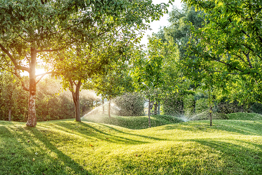 Automatic irrigation system on a lush green landscape.