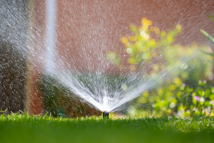 Automatic irrigation system in a front yard.