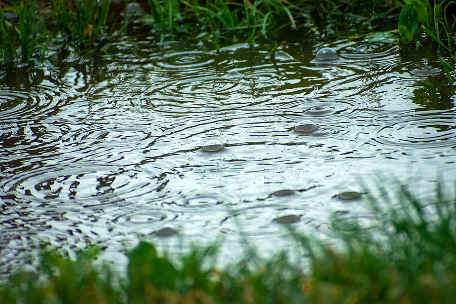 Large bubbles in a puddle during rainfall, summer day