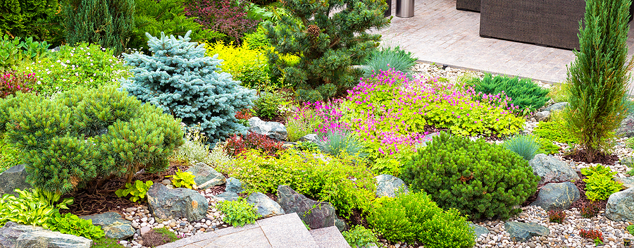 landscape design with multicolored shrubs, bushes, and plants around a stairway