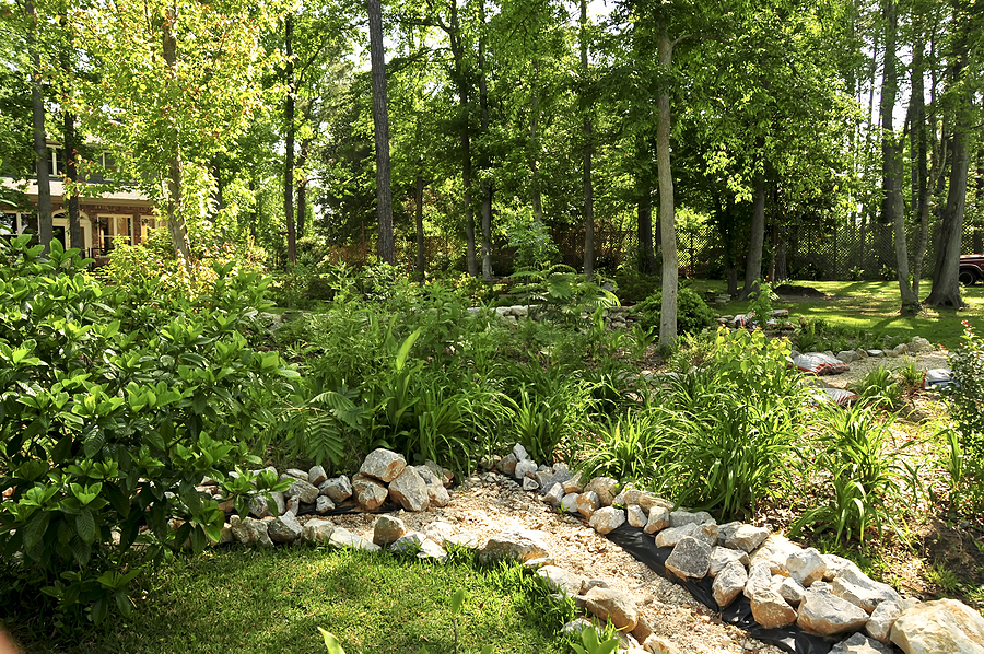 A lush green garden with compacted greenery and a dry creek bed.