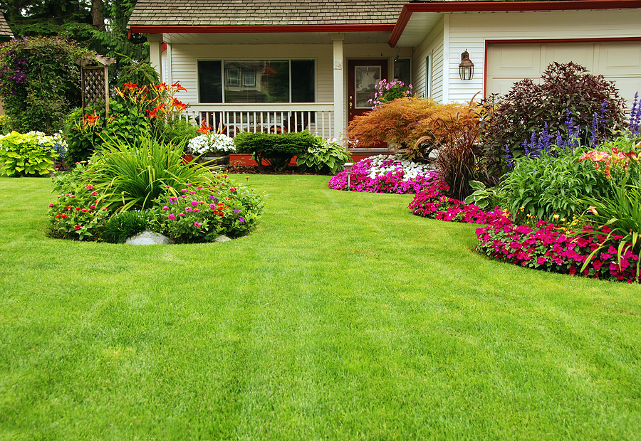 Front yard of a white house with a porch and beds of shrubs, bushes, small trees, flowers, and other plants in front.