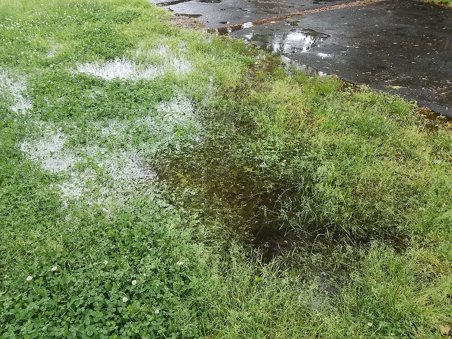 large puddle of water in grass next to asphalt driveway