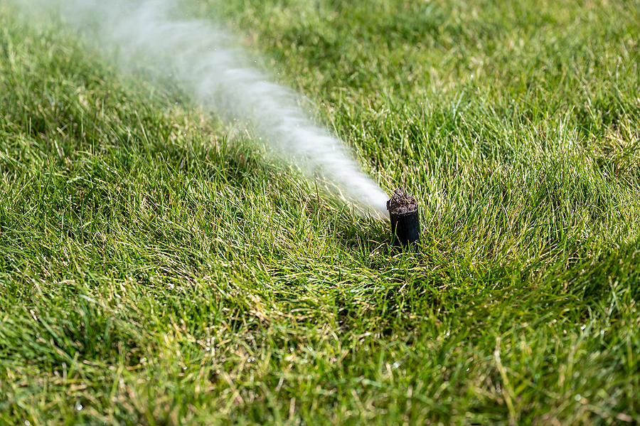 irrigation system being winterized by blowing pressurized air through the system - air coming out of sprinkler head