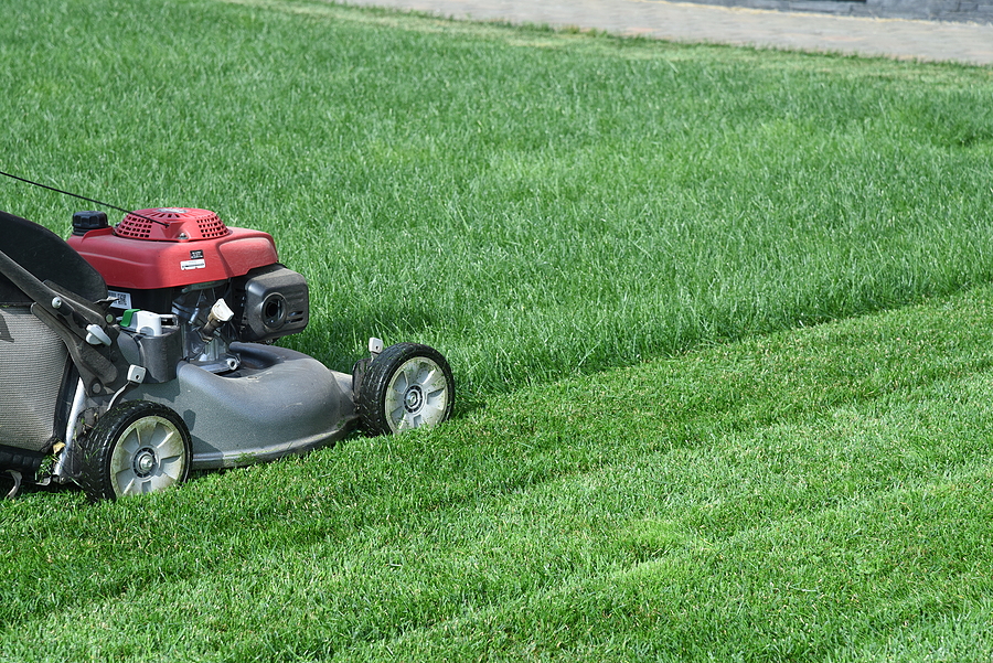 lawn mower trimming grass on a green lawn in straight lines
