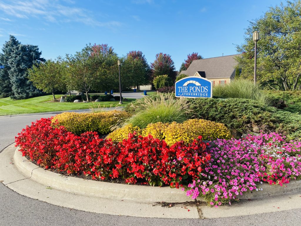 Commercial-landscape-Maintenace-of-the-flower-bed-in-a-common-area