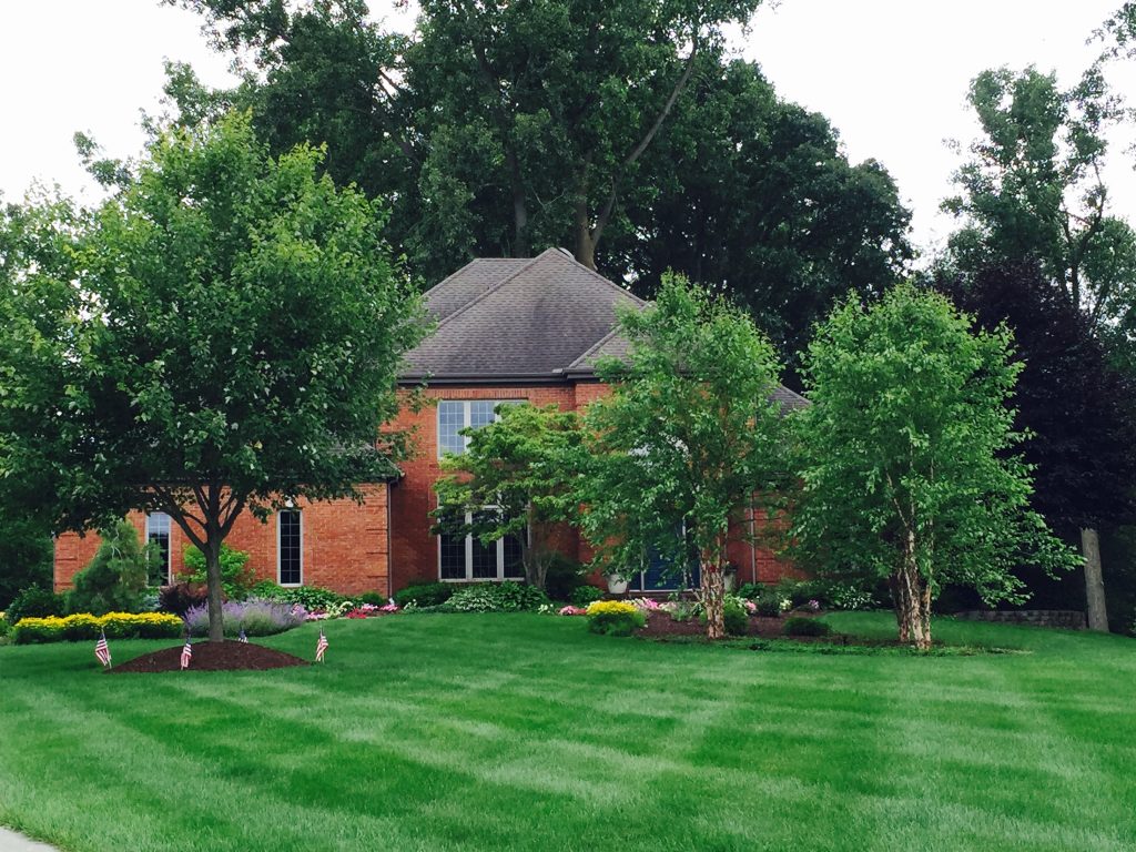 Fresh-cut-grass-of-a-front-yard-in-Ann-Arbor