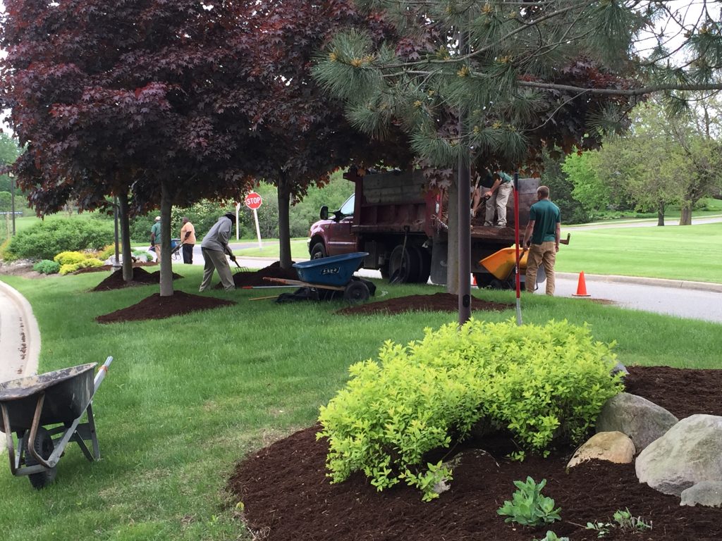 Twin-Oaks-Landscape-grounds-crew-installing-mulch-for-a-customer-in-Ann-Arbo