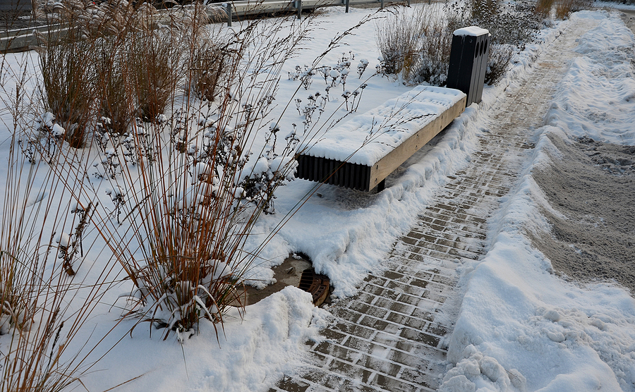 Commercial property landscape in winter.