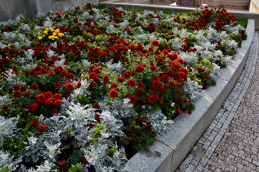 flower bed within retaining wall hardscape with red, green, white, and yellow plants
