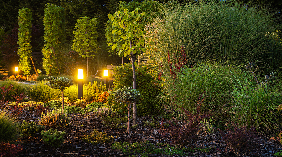 landscaping with post lights installed within foliage and trees
